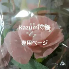 Item thumbnail for item 26654d6d-0085-4b6f-863b-2d8867fd8b12