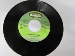 RSW 15th Ryo the Skywalker 7inch レコードセット RSW 15th Ryo the Skywalker 7inch レコードセット