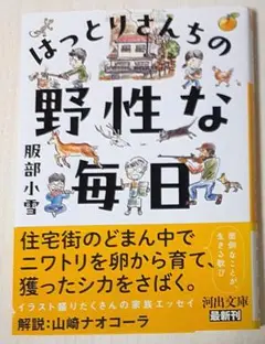 はっとりさんちの野性な毎日