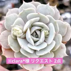 ꕤclara*様 リクエスト 2点 まとめ商品