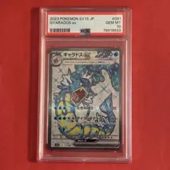 2025年最新】ギャラドスex sr psa10の人気アイテム - メルカリ