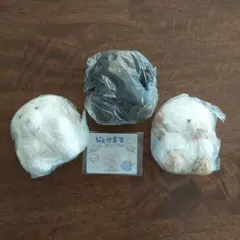 じょせまる ぬいぐるみ 3種セット ガチャ
