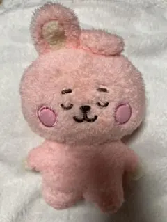 BT21 COOKY ねたっとん