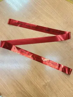 Ryosuke Yamada Asia Tour Red.Y ソウル　銀テフル
