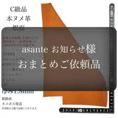 asante お知らせ様 リクエスト 2点 まとめ商品