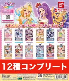 アイカツ！だれでもアイドル活動アクリルチャーム3 12 種コンプ
