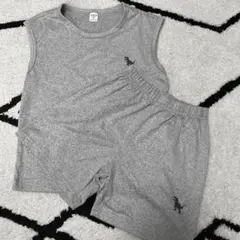 恐竜プリント ノースリーブタンクトップとショートパンツセット