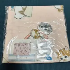 mofusand 一番くC賞 ブランケット①