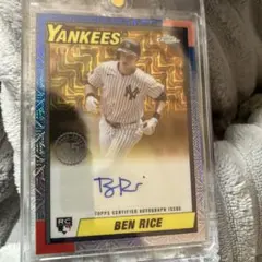 Item thumbnail for item 088b5376-2c59-428d-bee0-020ba62b6737