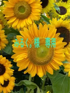 みるく。様　専用です。