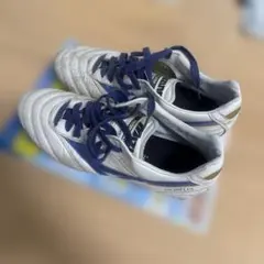 2026年最新】モレリア ブルーの人気アイテム - メルカリ