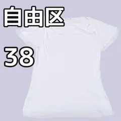 自由区【極美品】ラメ混シフォン ティアードカットソー オンワード樫山 38