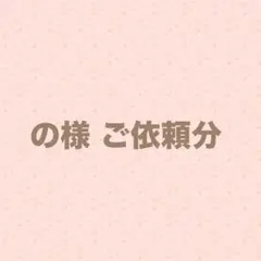 の様 ご購入分
