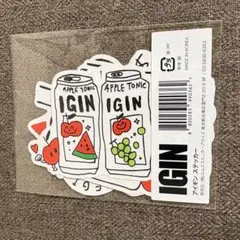 IGIN ステッカーセット BTS JIN