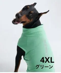 【新品】大型犬　夏服　4XL（オーダー用）