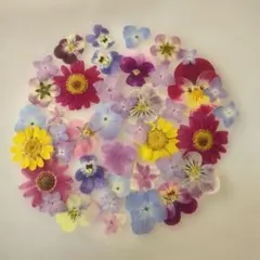 an様 リクエスト 3点 まとめ商品