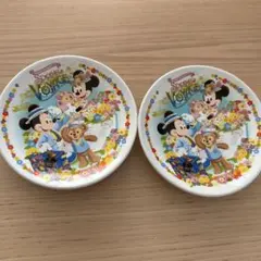 東京ディズニーシー スプリングヴォヤッジ 小皿 2枚セット