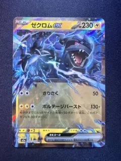 メガドリームEX ゼクロムex