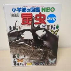 小学校の図鑑 NEO 昆虫 DVD付き