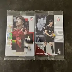 宮浦健人 バレーボール日本代表 公式トレカ