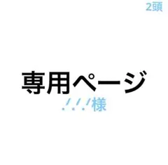 専用ページ