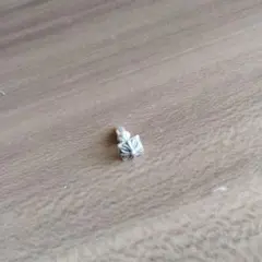 シルバー925 Chrom クロム模様 ピアス(片耳用) 18k HERMES