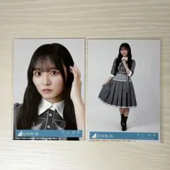 《即購入可》片山紗希 ヨリ 座り イチャイチャ虫 封入生写真