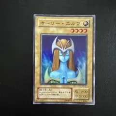 ホーリー・エルフ PG-01