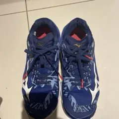 Item thumbnail for item 49b32179-1b51-4aa5-8a52-72f7ace1df87