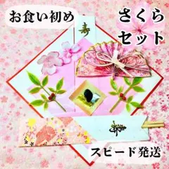 お食い初め鯛飾りセット5625