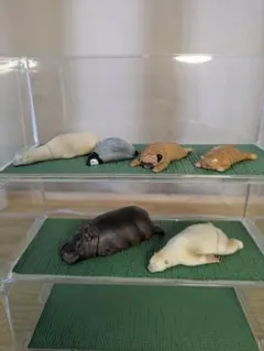 動物フィギュア 全6種類コンプリートセット