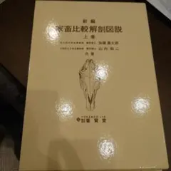 Item thumbnail for item 3c8df4c7-e9bc-4950-989c-c985173f7274