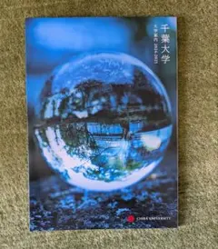 Item thumbnail for item 31d87370-a241-4b2d-912f-ddb0c0bee018