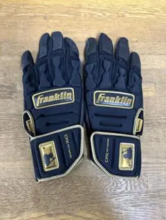 Item thumbnail for item a4a3985f-fdcc-48e5-b1b4-578e05466ec0