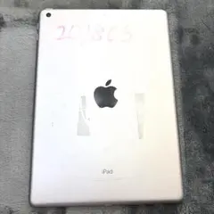 Apple 애플 iPad 아이패드 6세대 본체 A1893