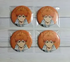 ハイキュー!! 缶バッジ 東武動物公園 レジャーver. 日向翔陽