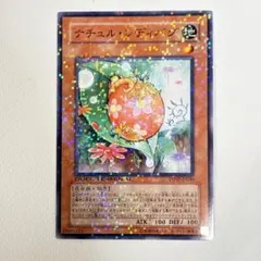 ナチュル・レディバグ　DT版