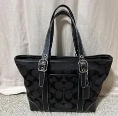 COACH Mini Signature Gallery Large Tote | Mercari