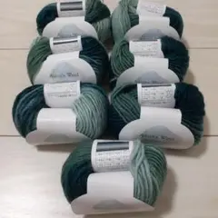 Aurora Wool グラデーション毛糸 25g 7玉 No.11