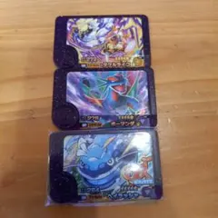 ポケモンフレンダ　スーパートレジャー　タケルライコ　ボーマンダ　ヘイラッシャ