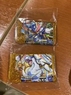 ポケモンフレンダ レガシーピック 2枚セット