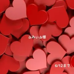 ☆みぃ☆様