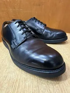 ラ*ン様 ☆特価☆値下げしました92年製プリント羽タグレッドウィング