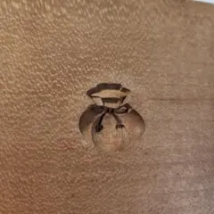 Item thumbnail for item e268b86a-5a4b-4e0d-82c2-73c26a04947d