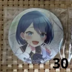 プロセカ 27A 遥 30点