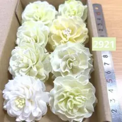 ソラフラワー　2921のサムネイル