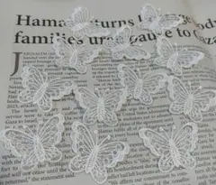 Item thumbnail for item b54ff50b-7ded-4933-965e-a0f82c93a936