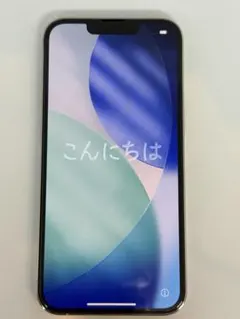 【バッテリー100％】iPhone13pro 256 GB SIMロックなし