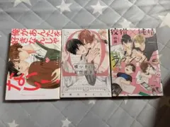 BL漫画 3冊セット バラ売り可能 - メルカリ