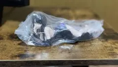 リゼロ　BANDAI Relax time エルザ・グランヒルテ フィギュア